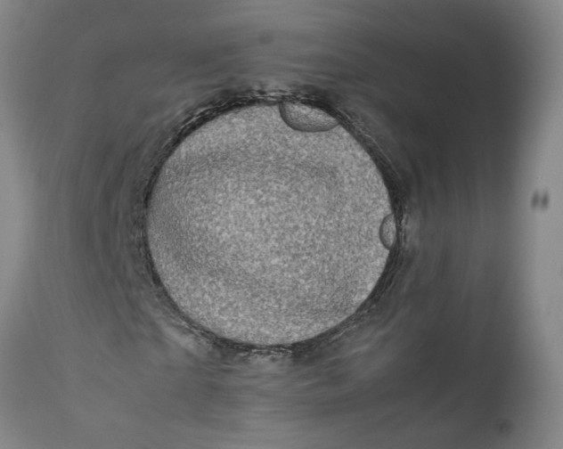 X0000111190865200907151347