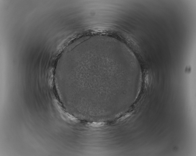 X0000111190868200907151347