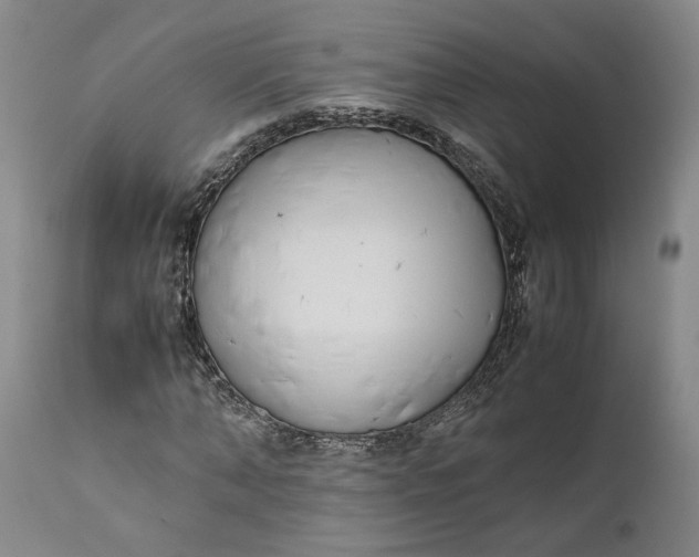 X0000111190870200907151347