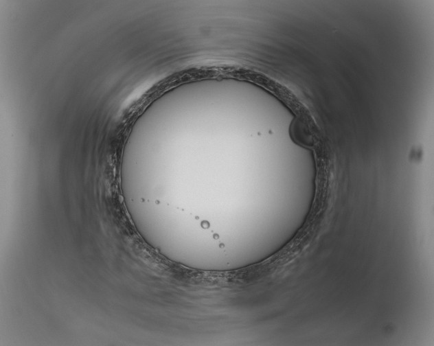 X0000111190871200907151347