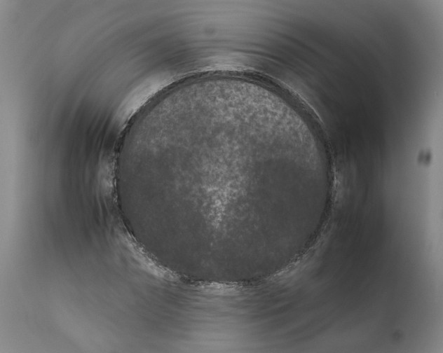 X0000111190874200907151347