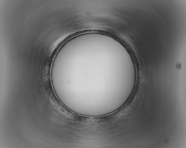 X0000111190875200907151347