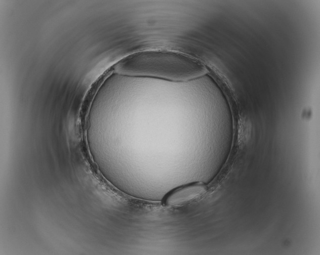 X0000111190876200907151347