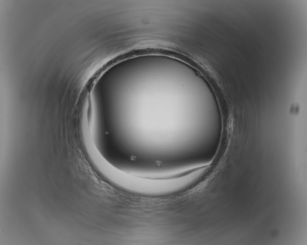 X0000111190877200907151347