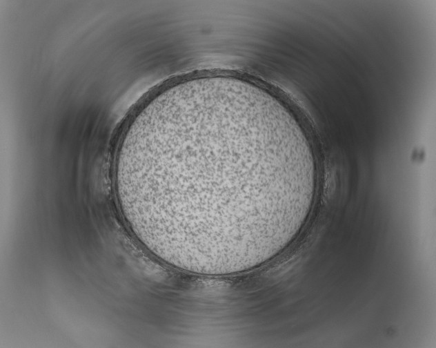 X0000111190878200907151347