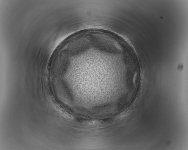 X0000111190879200907151347