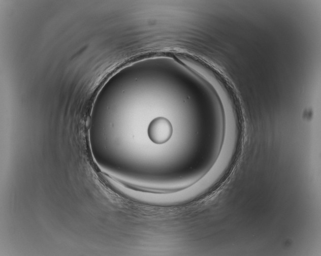 X0000111190881200907151347