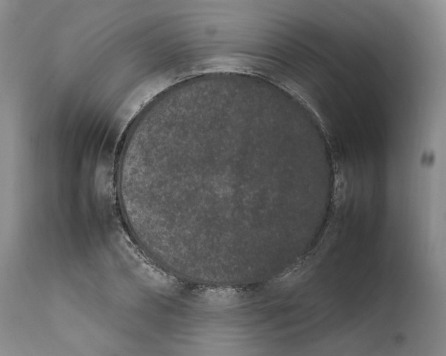 X0000111190882200907151347