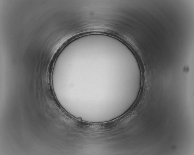 X0000111190883200907151347