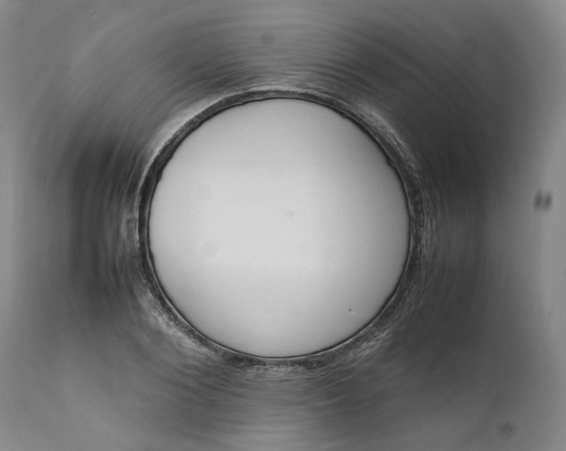 X0000111190884200907151347