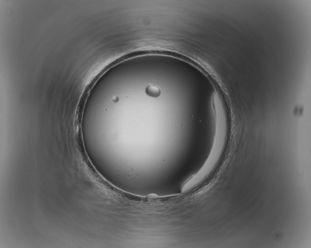 X0000111190885200907151347