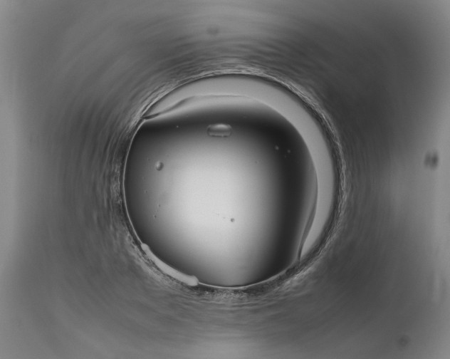 X0000111190889200907151346