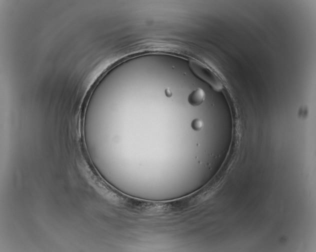 X0000111190891200907151346