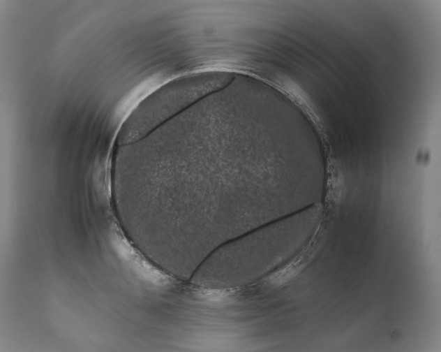 X0000111190892200907151346