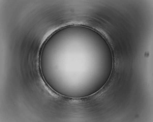 X0000111190894200907151346