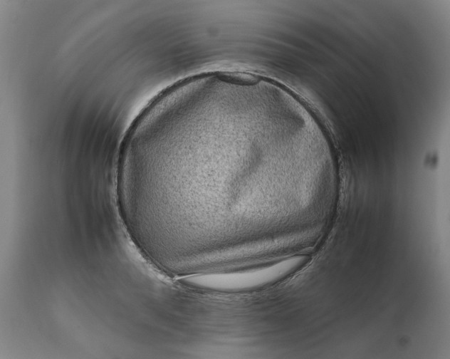 X0000111190896200907151346