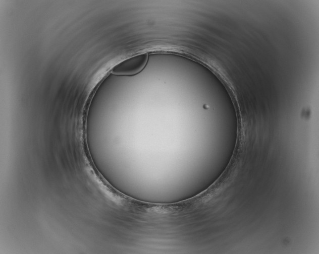 X0000111190898200907151346