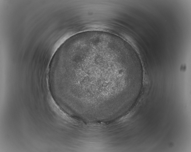 X0000111190899200907151346