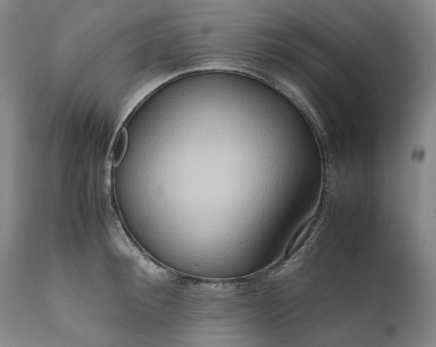 X0000111190900200907151346