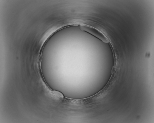 X0000111190901200907151346