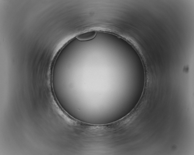 X0000111190902200907151346