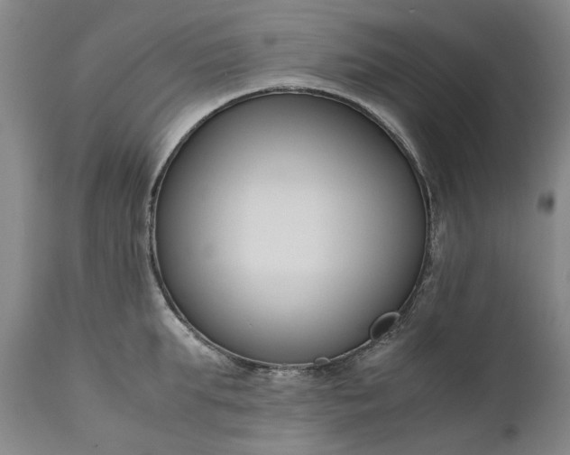 X0000111190903200907151346