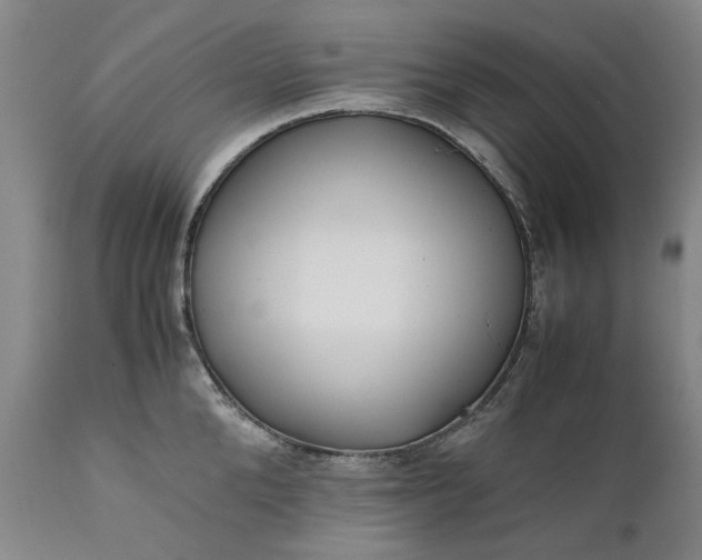 X0000111190904200907151346