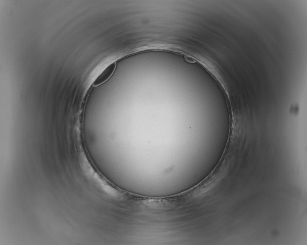 X0000111190906200907151346