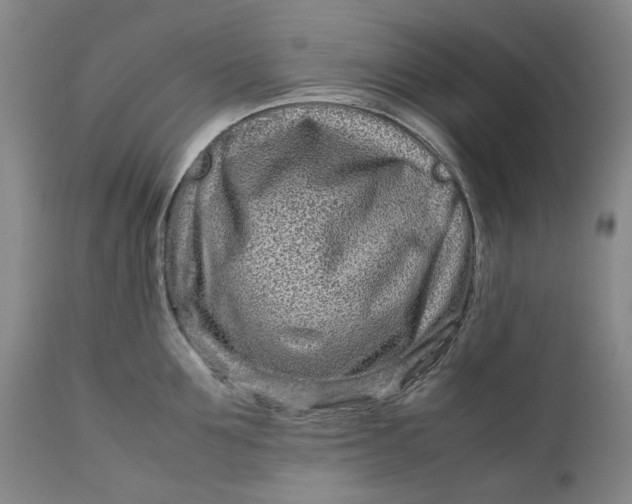 X0000111190907200907151346