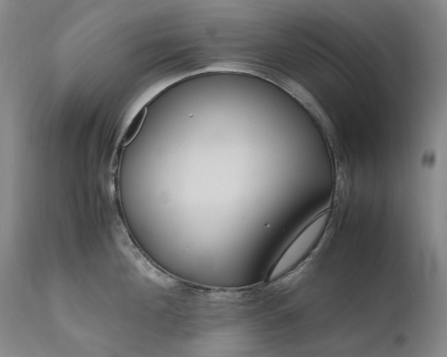 X0000111190908200907151346