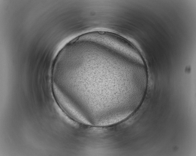 X0000111190910200907151346