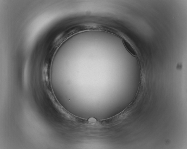 X0000111190911200907151346