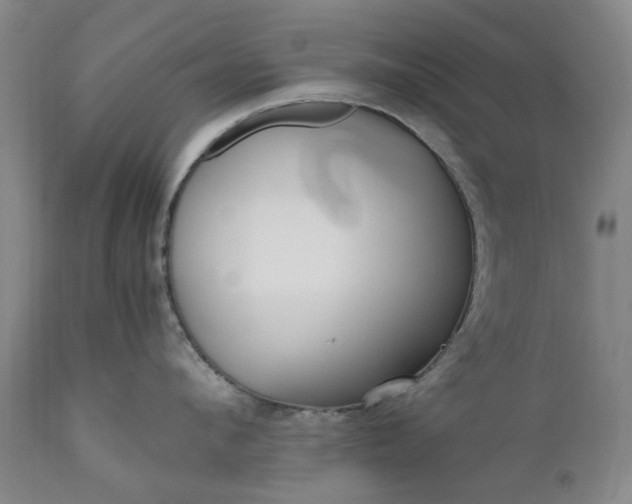 X0000111190912200907151346