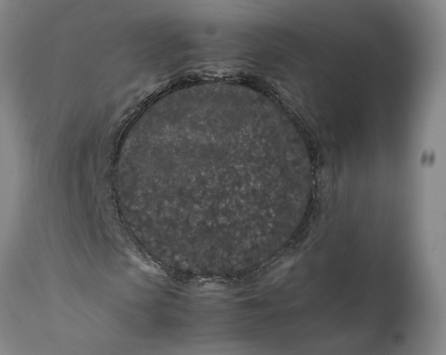 X0000111190913200907151345