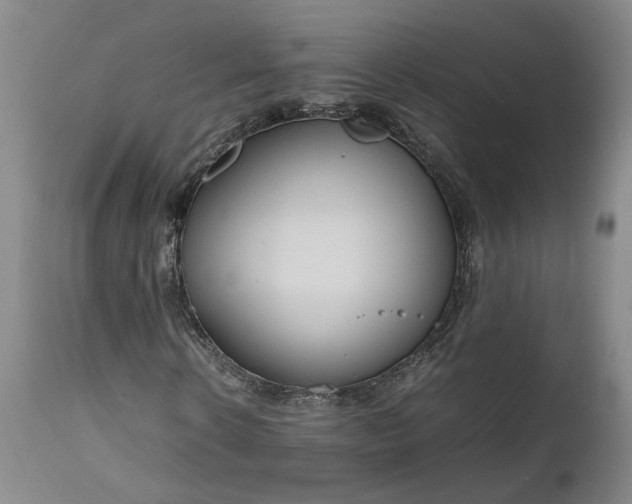 X0000111190914200907151345