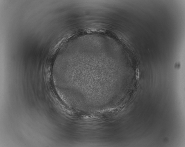 X0000111190915200907151345