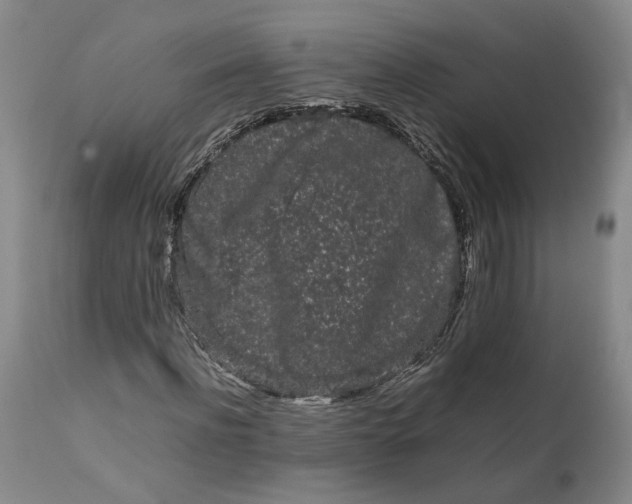 X0000111190916200907151345