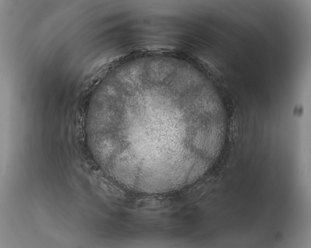 X0000111190917200907151345