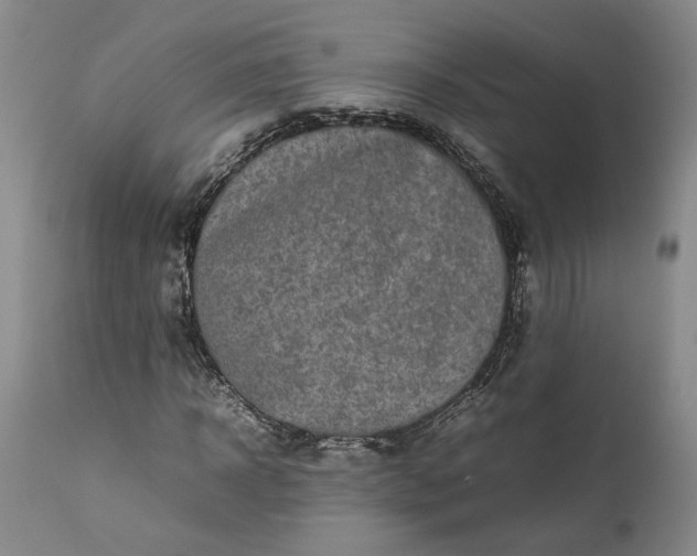 X0000111190918200907151345