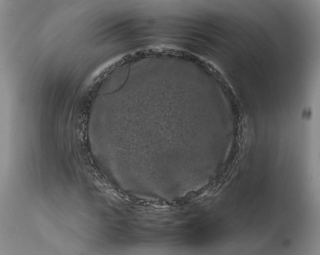 X0000111190919200907151345