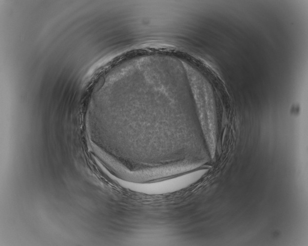 X0000111190920200907151345