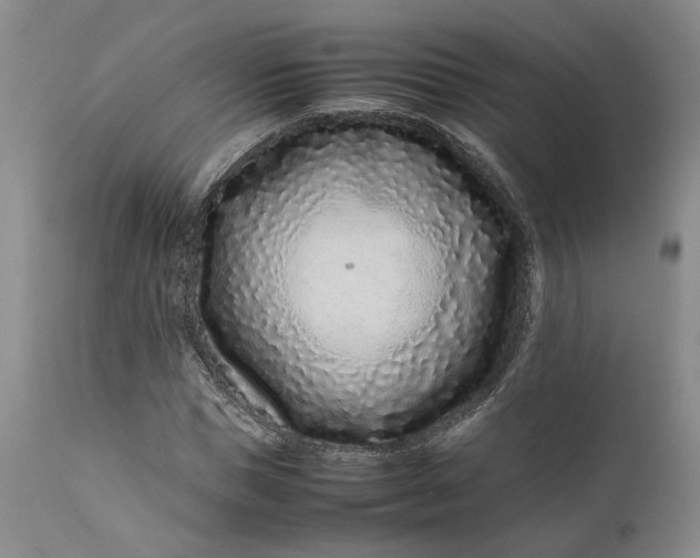 X0000111190921200907151345