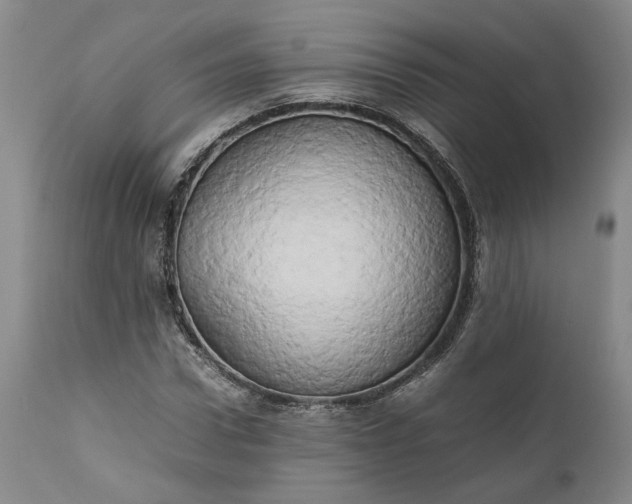 X0000111190922200907151345