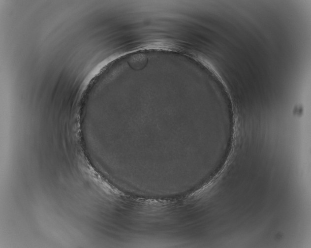 X0000111190923200907151345