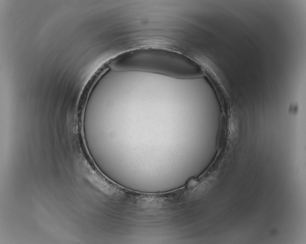 X0000111190924200907151345