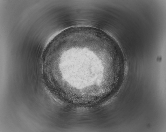 X0000111190925200907151345