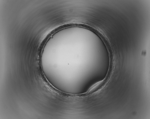 X0000111190926200907151346