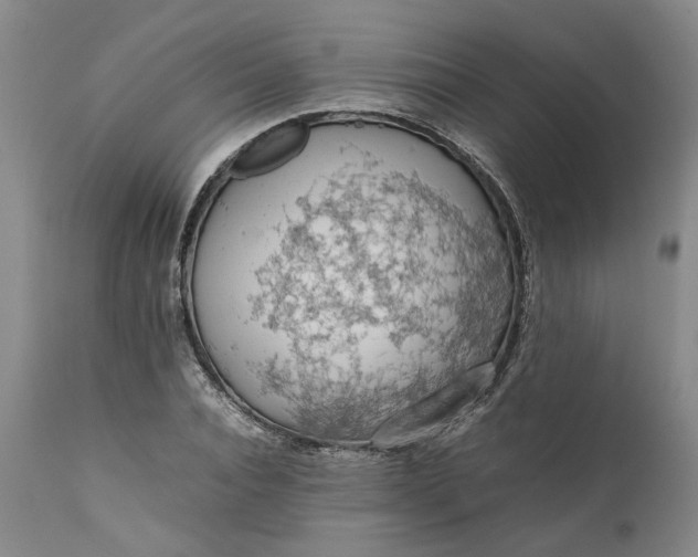 X0000111190928200907151346