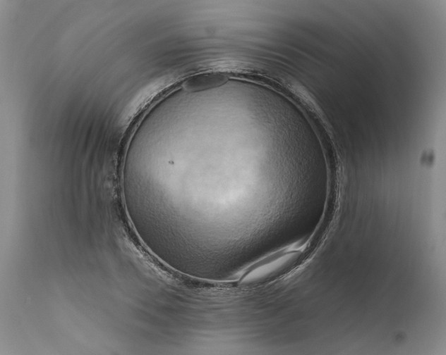 X0000111190930200907151346