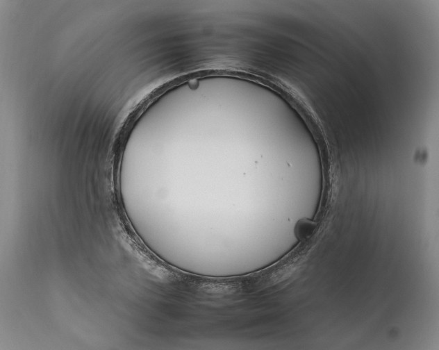 X0000111190931200907151346